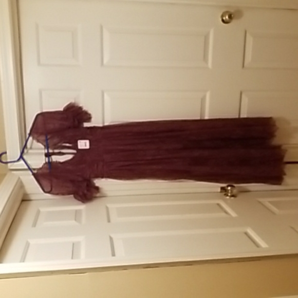 **Only size 2 left!!* Free People Dear Jane Embroidered Lace Dress in Roan Rouge - Picture 10 of 16